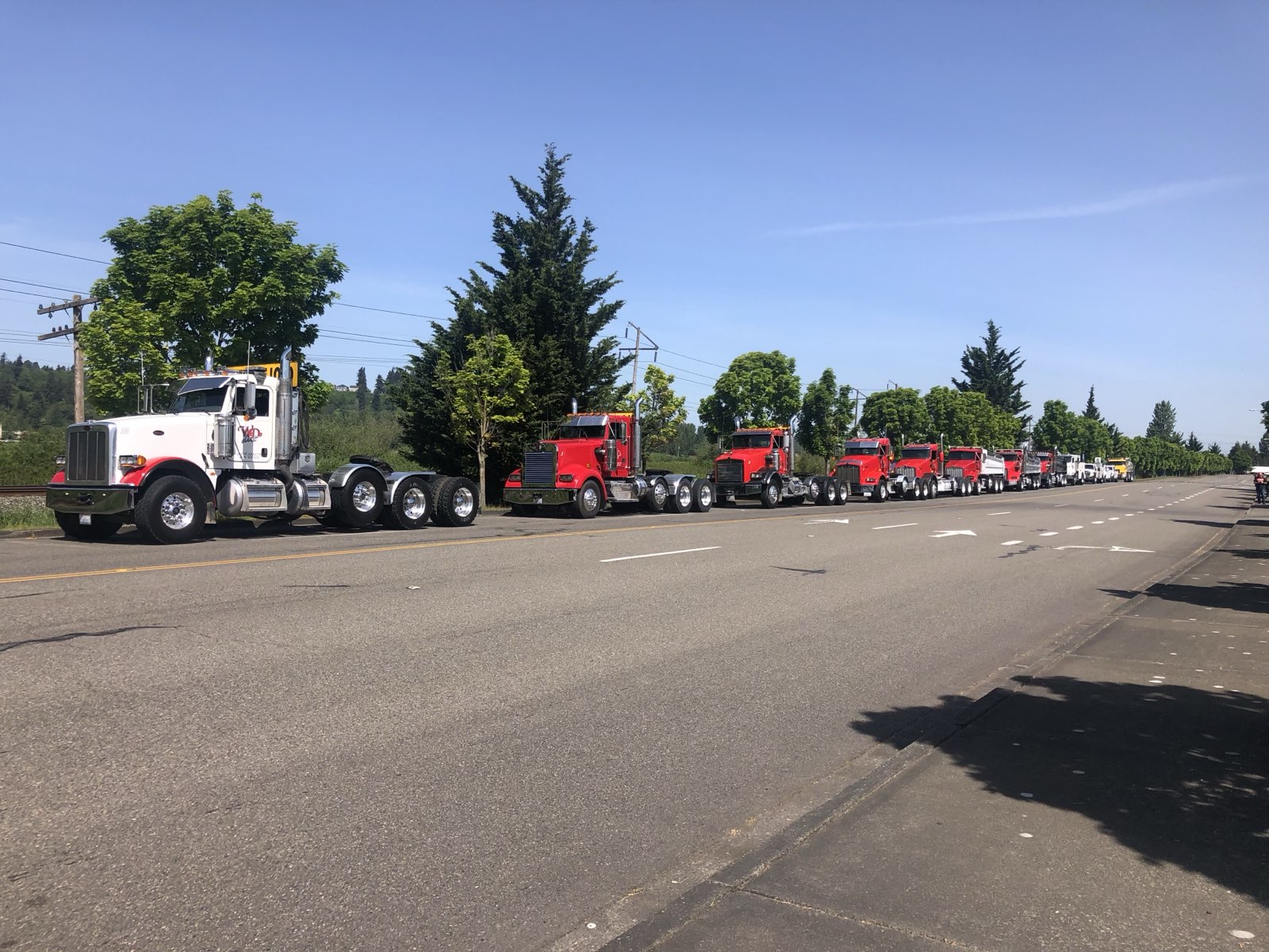 The WD Dirt Peterbilt fleet lined up roadside