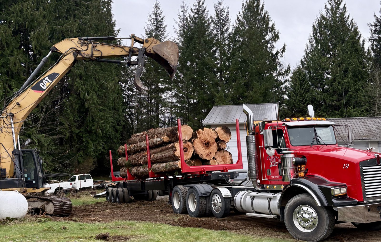 CAT excavator loading logs onto WD Dirt logging truck